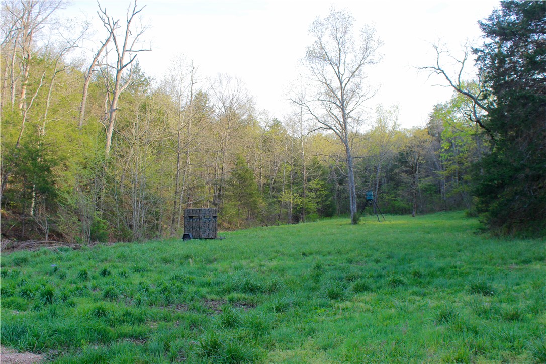 main property photo 36