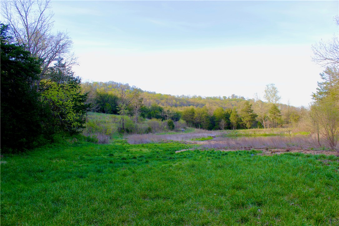 main property photo 38
