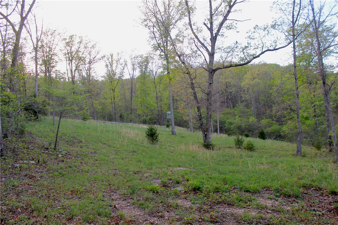 main property photo 40