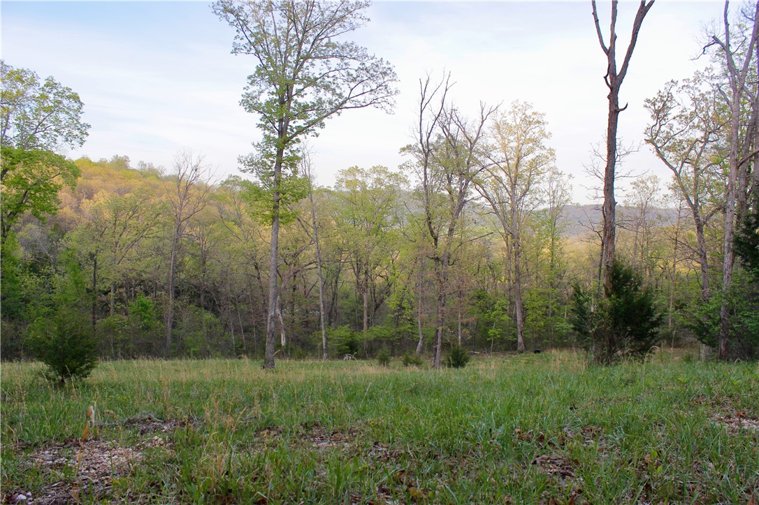 main property photo 42