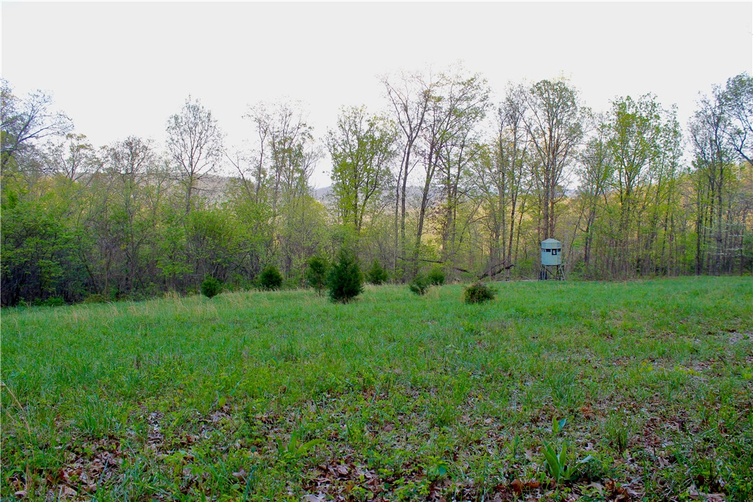 main property photo 43