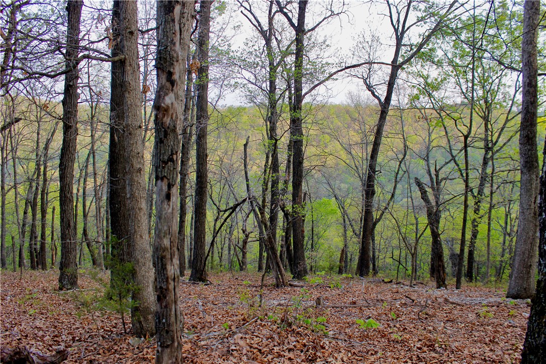 main property photo 44