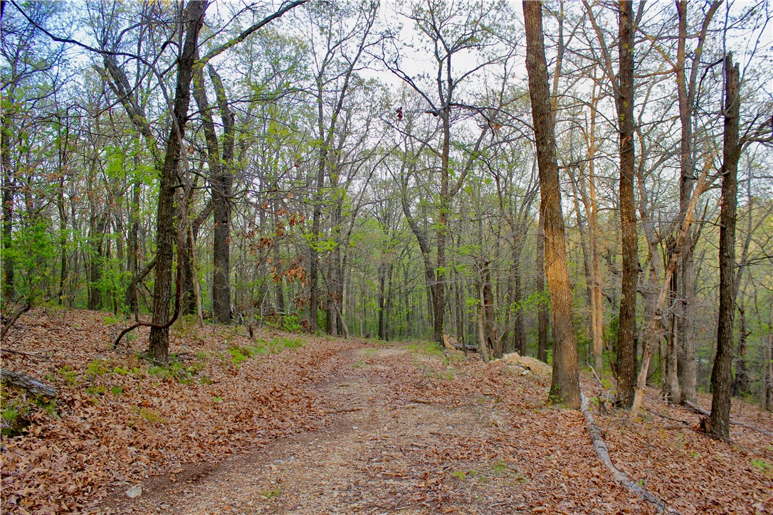 main property photo 45