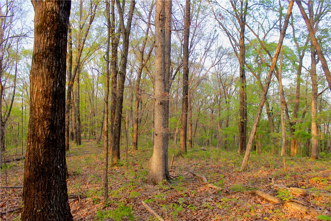 main property photo 47