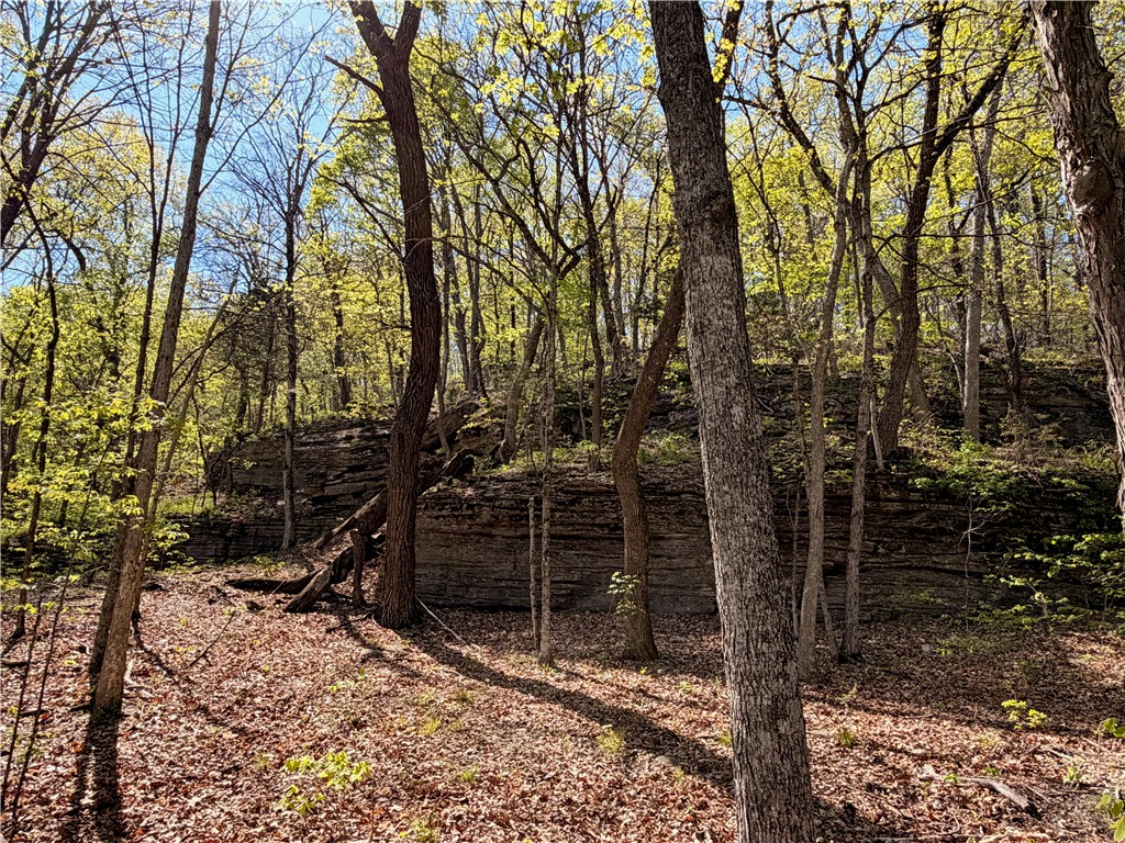 main property photo 48
