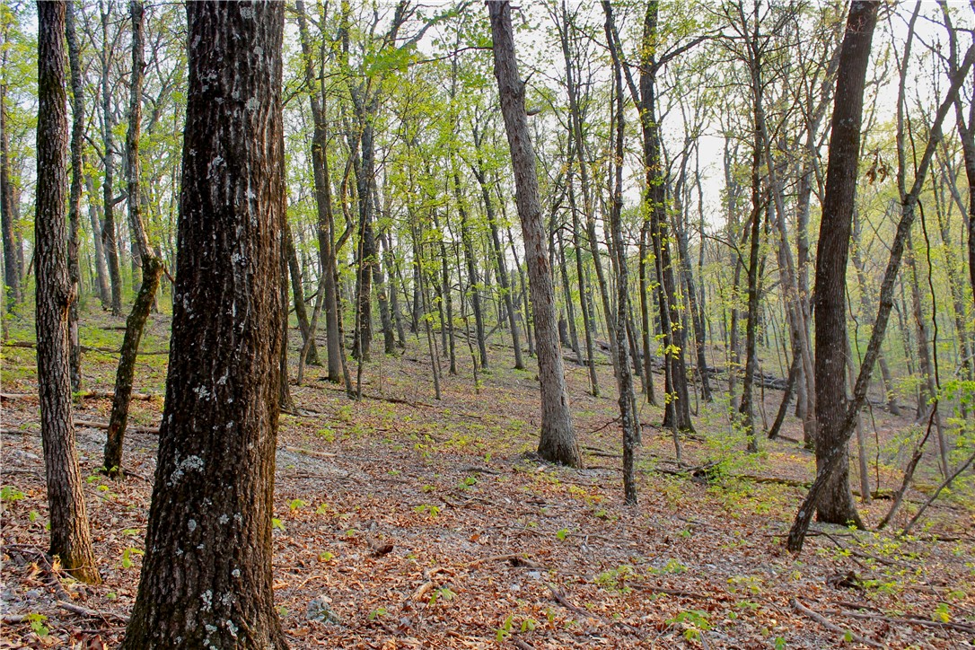 main property photo 49