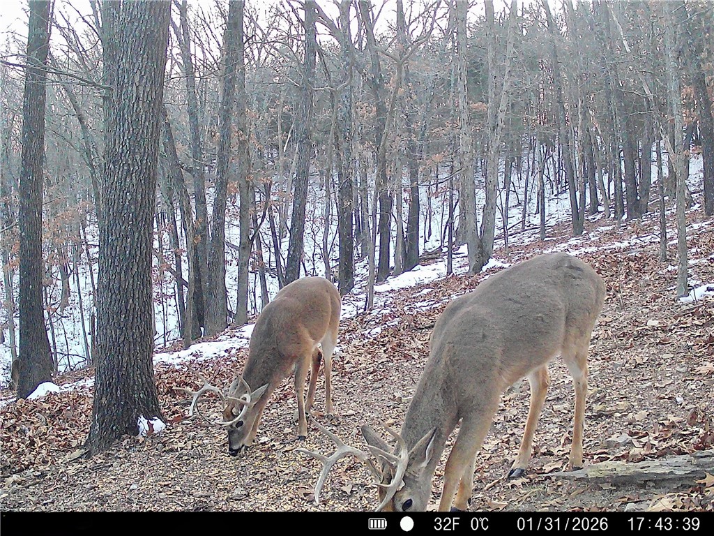 main property photo 52
