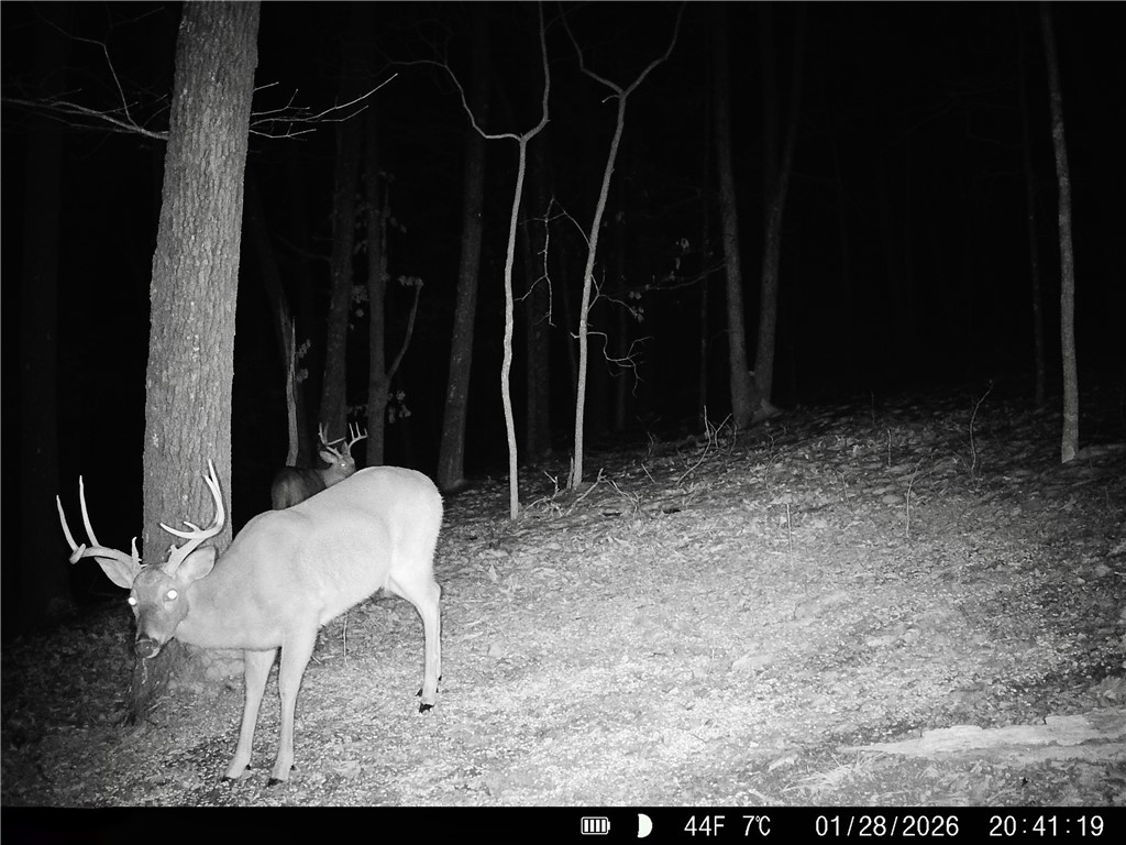 main property photo 53