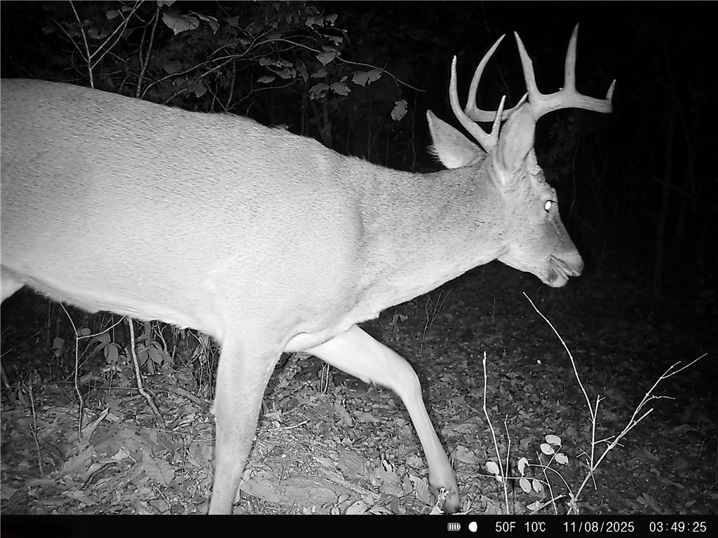 main property photo 55