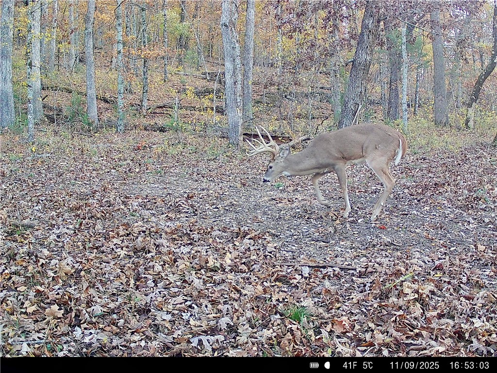 main property photo 56