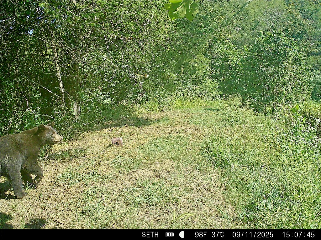 main property photo 57