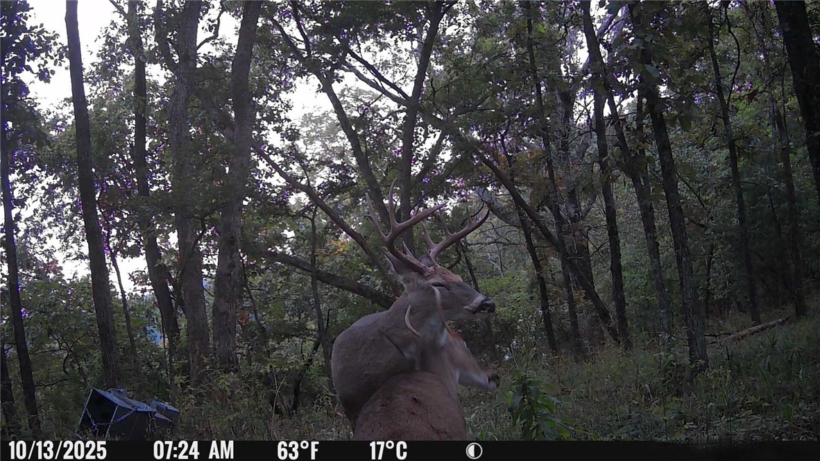 main property photo 58