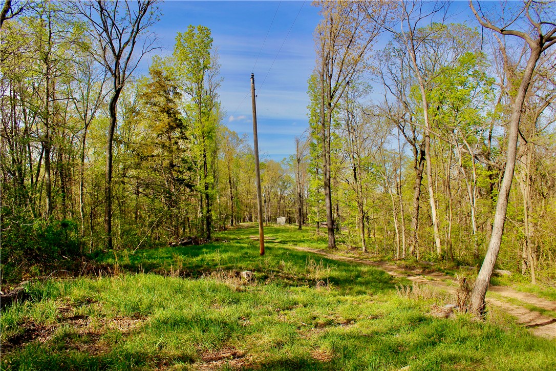 main property photo 8