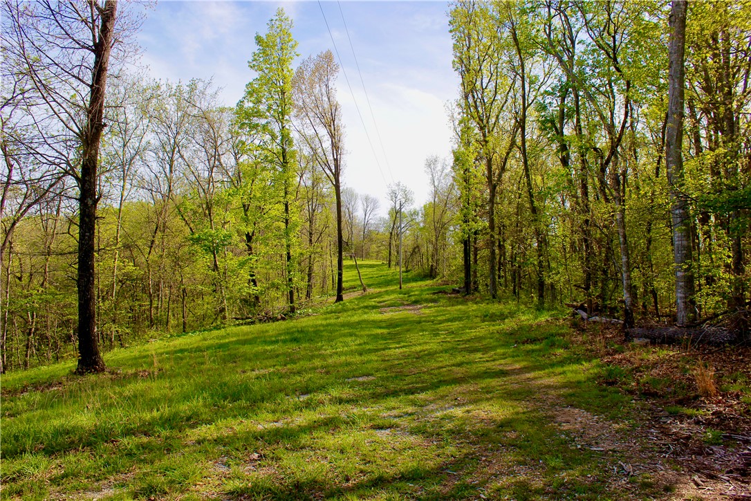 main property photo 9