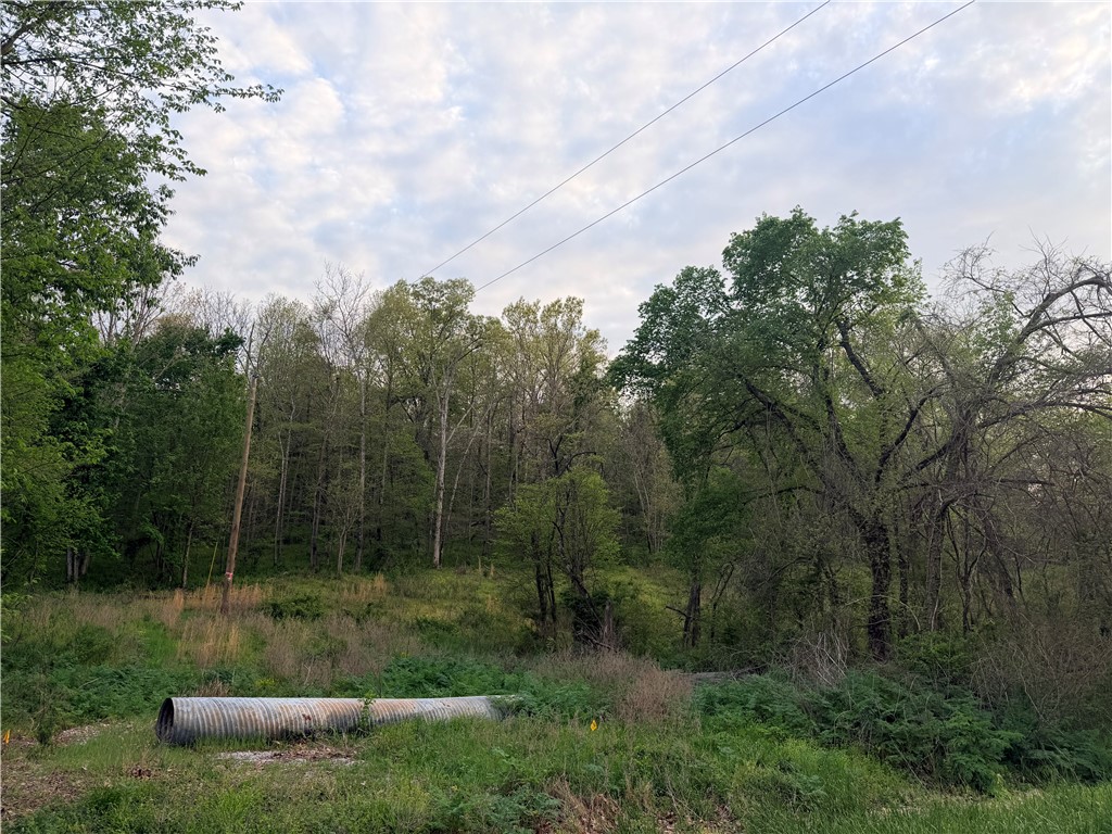 main property photo 4