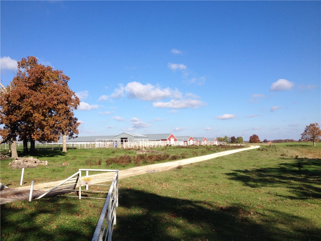 main property photo 33