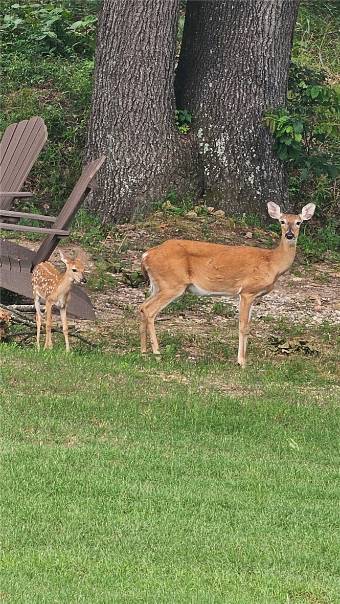 main property photo 55