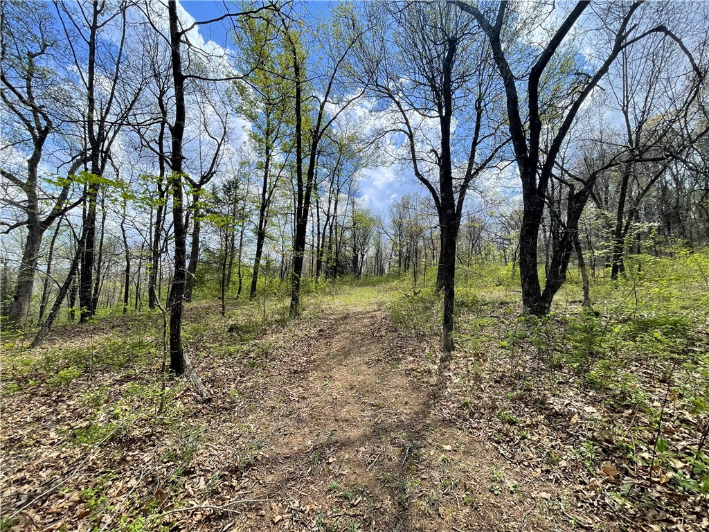 main property photo 24