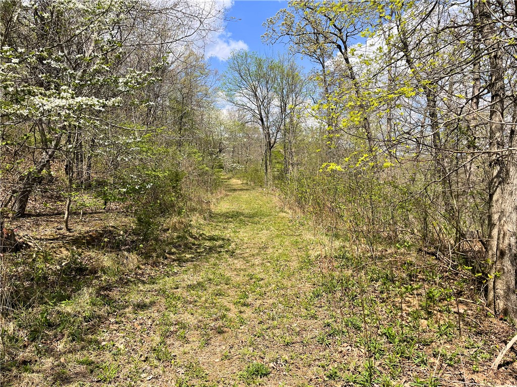 main property photo 27