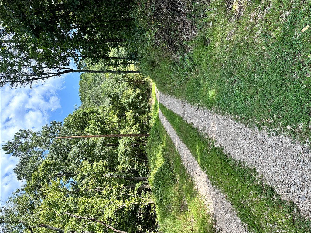 main property photo 25
