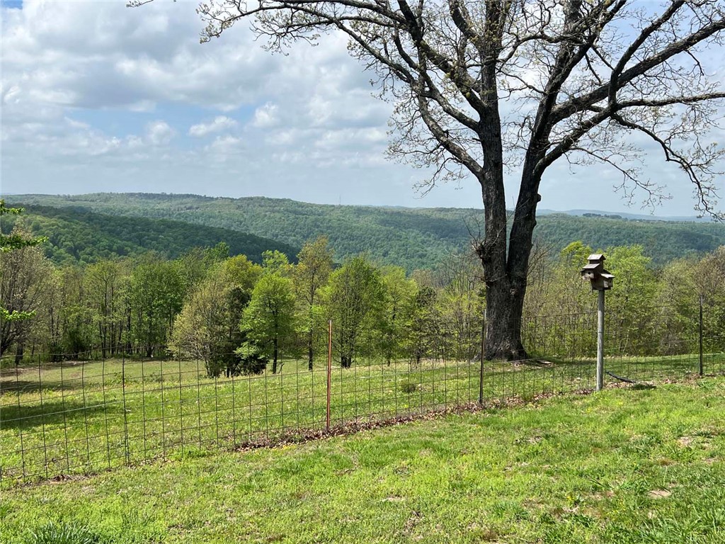 main property photo 47