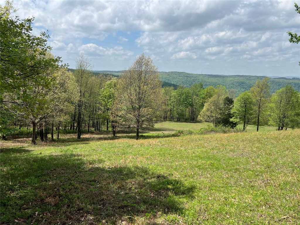 main property photo 54