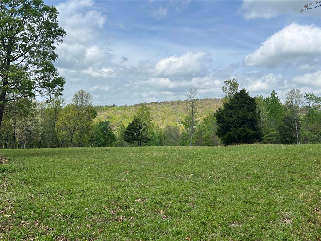 main property photo 55