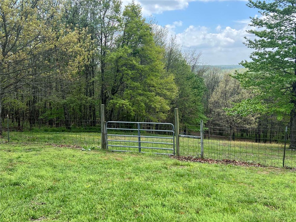 main property photo 43