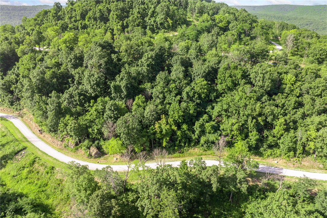 main property photo 9