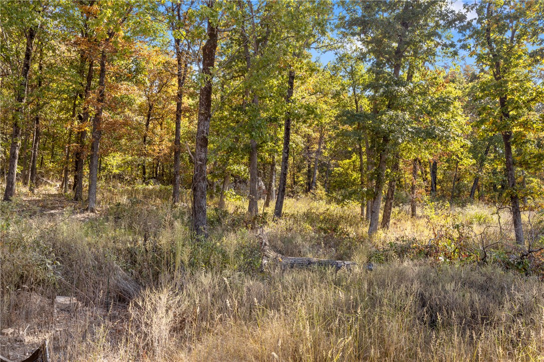 main property photo 40
