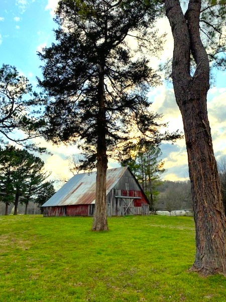 main property photo 19