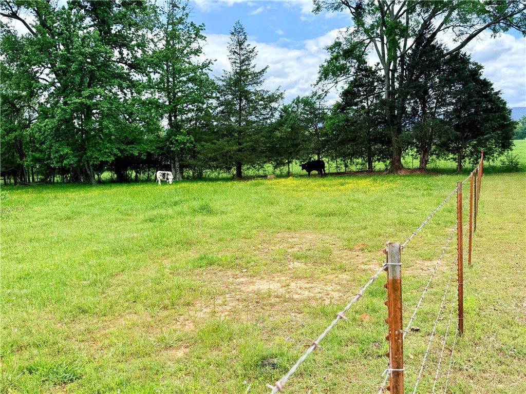 main property photo 50