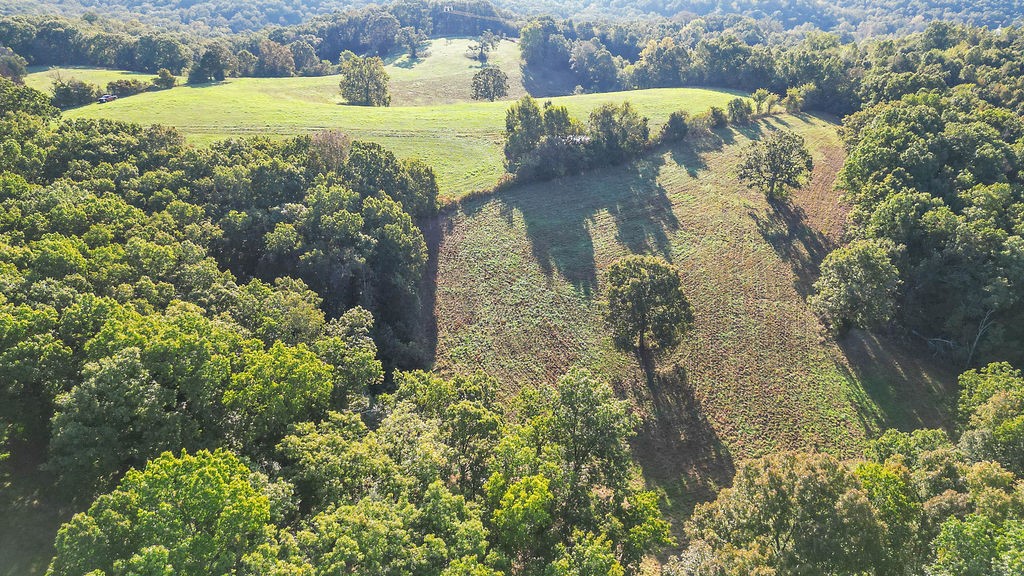 property viewer photo 12