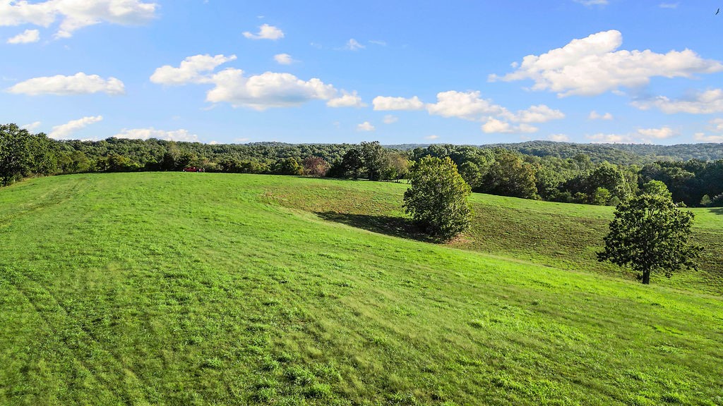 property viewer photo 7