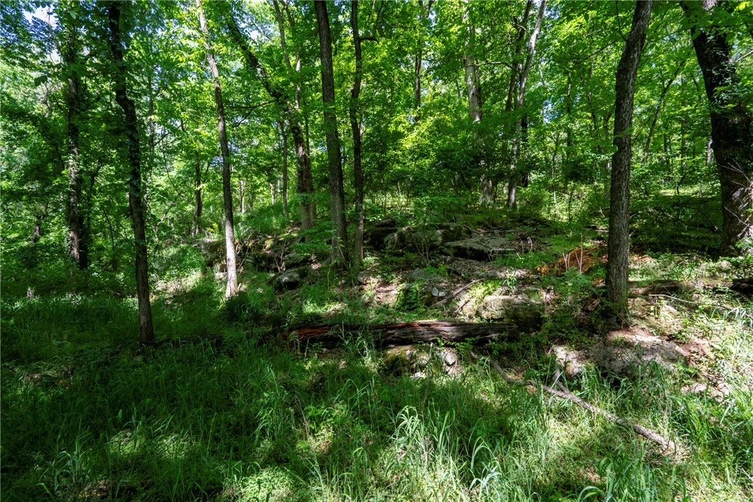 main property photo 38