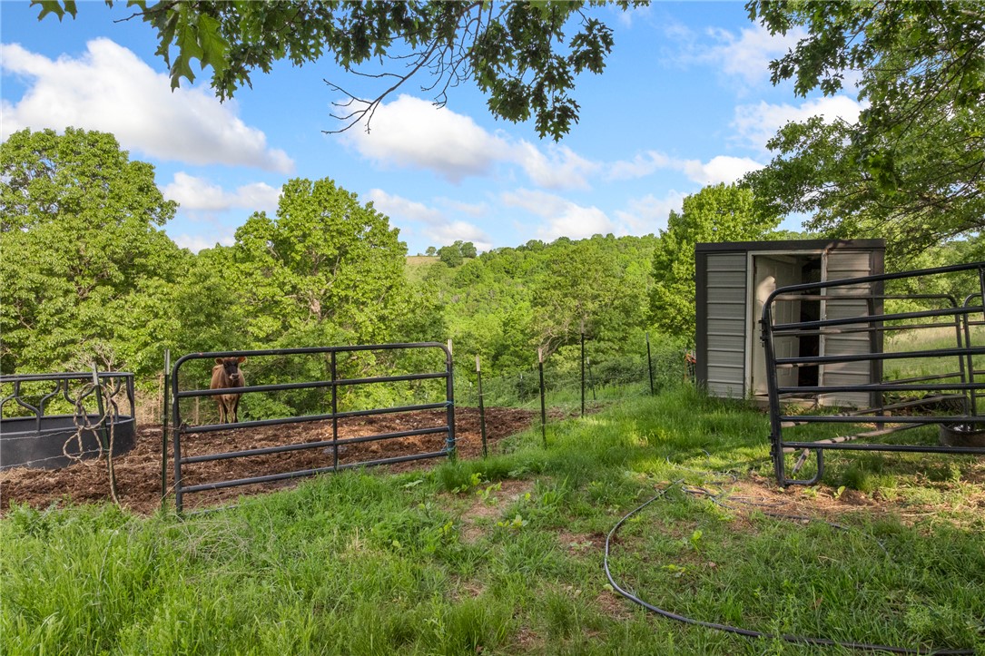main property photo 40