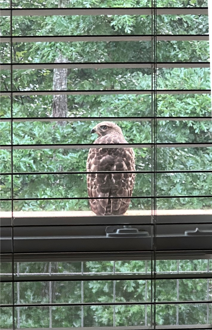 property viewer photo 32