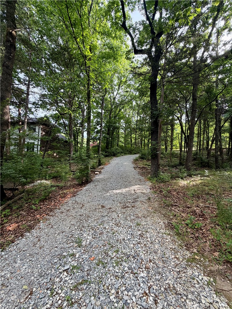 main property photo 56