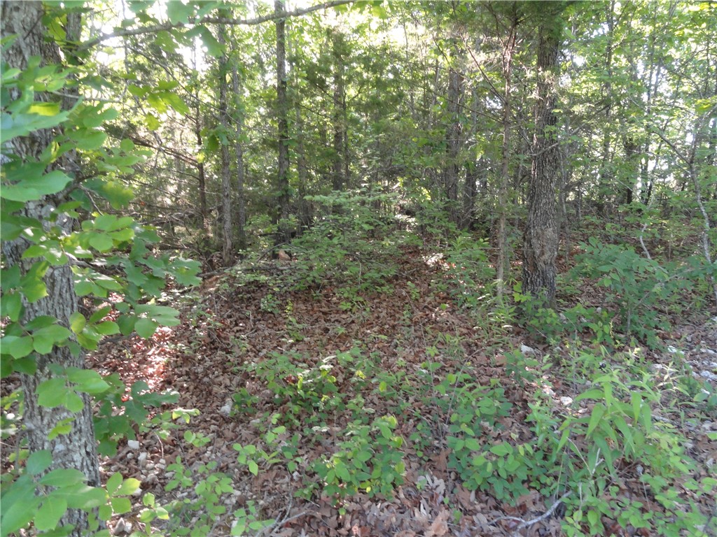 main property photo 28
