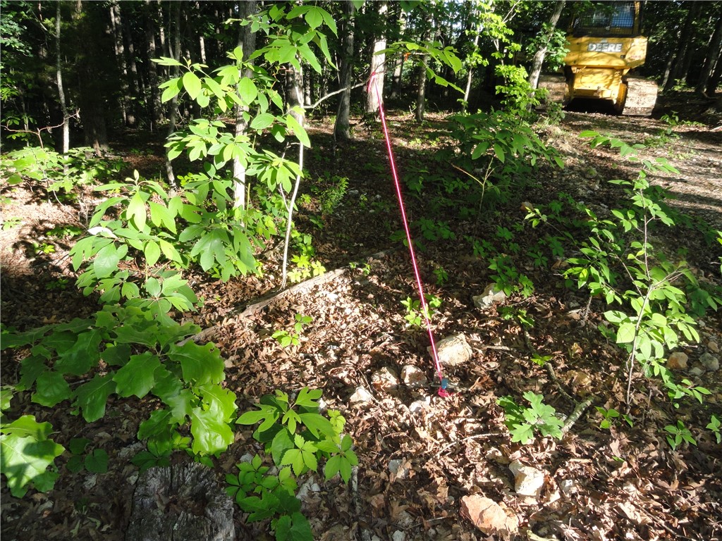 main property photo 34