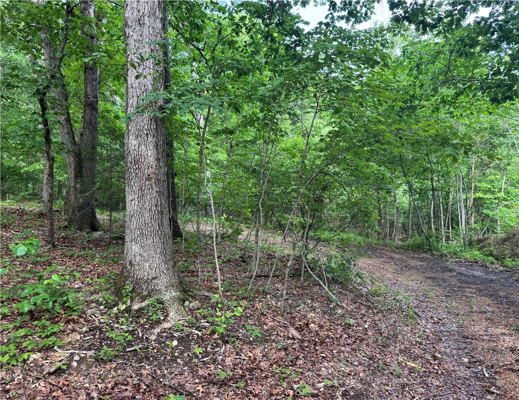 main property photo 0