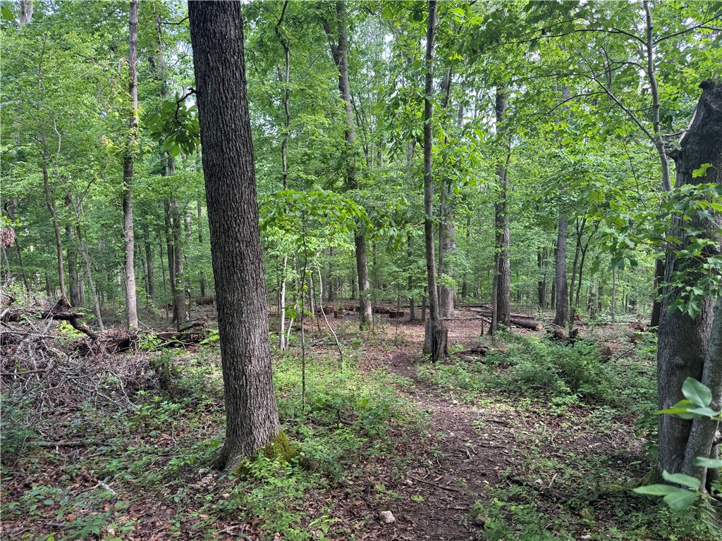 property viewer photo 1