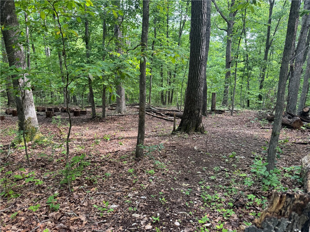property viewer photo 2