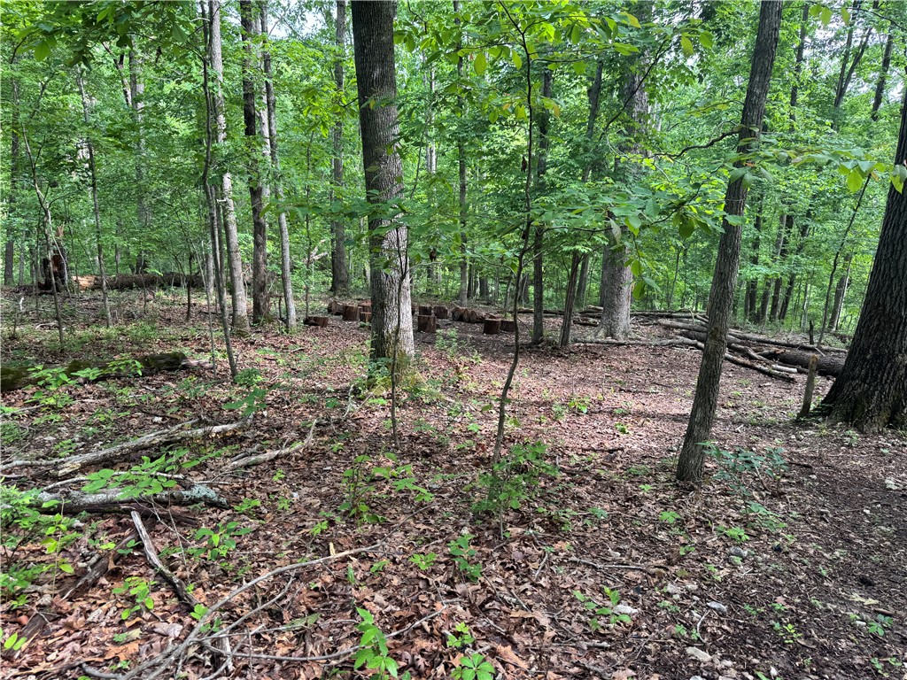 property viewer photo 3