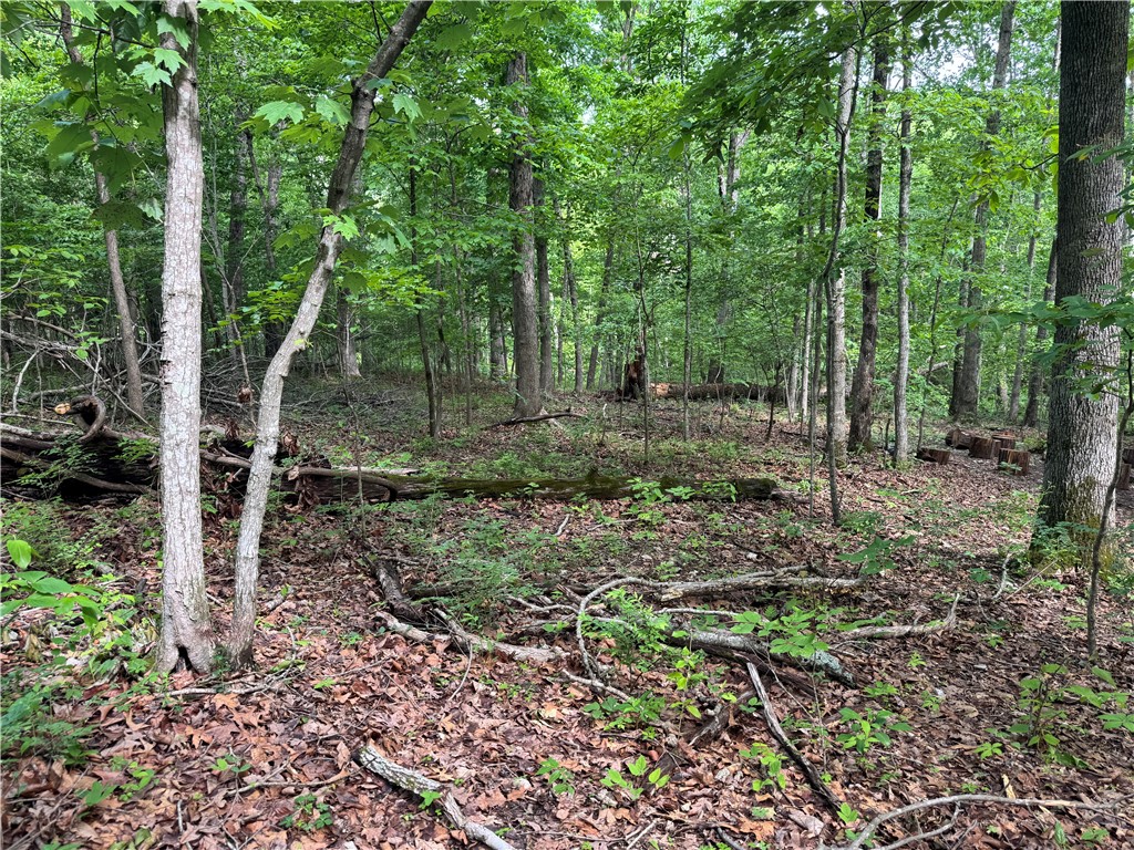 property viewer photo 4