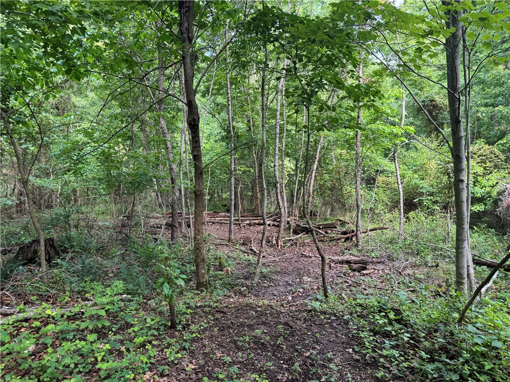 property viewer photo 6