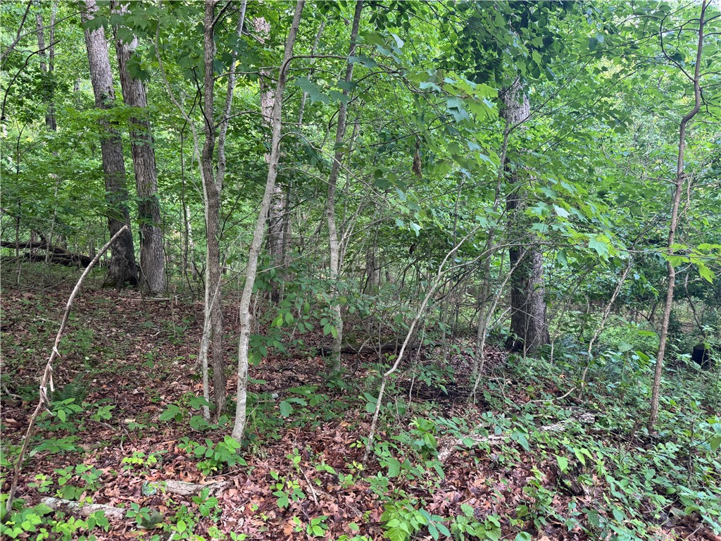 property viewer photo 7
