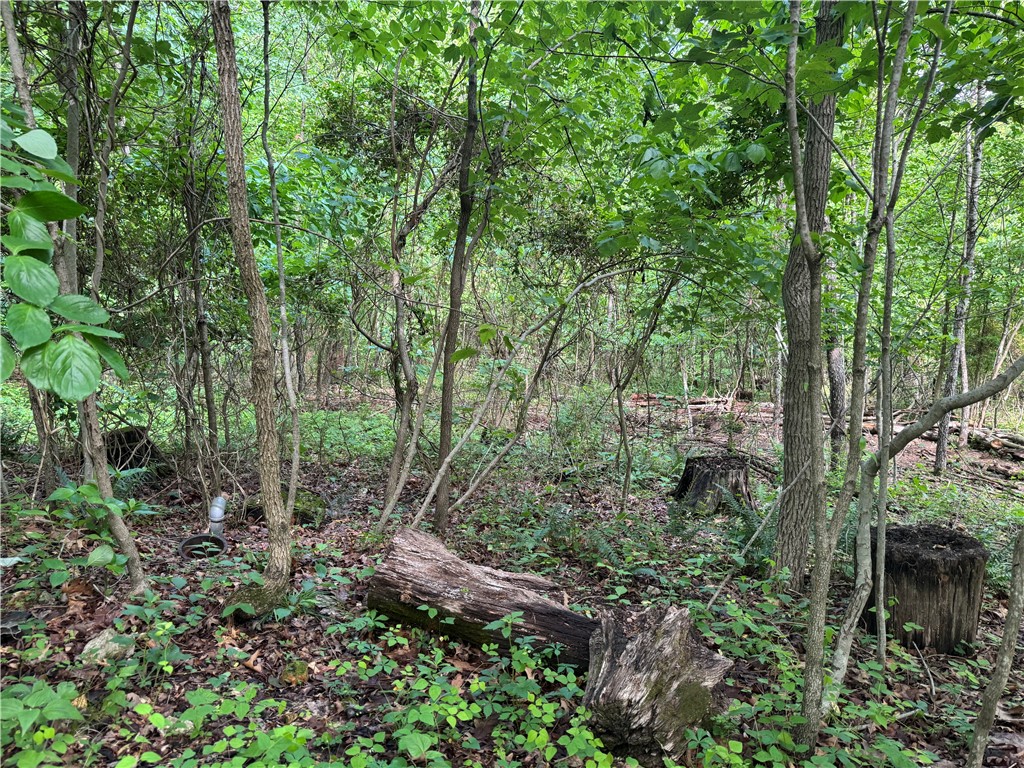 property viewer photo 8
