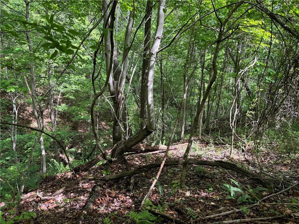 property viewer photo 9