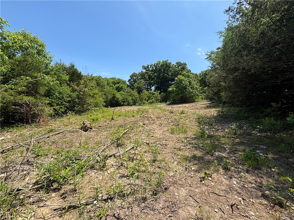 main property photo 10